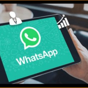 WhatsApp Marketing Master Class
